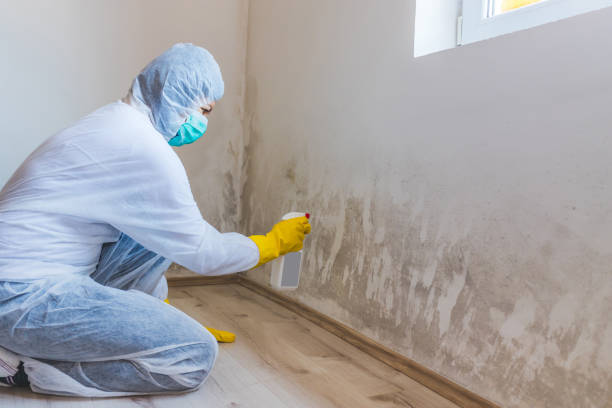 Commercial Mold Remediation assessment for commercial property in Boiling Springs