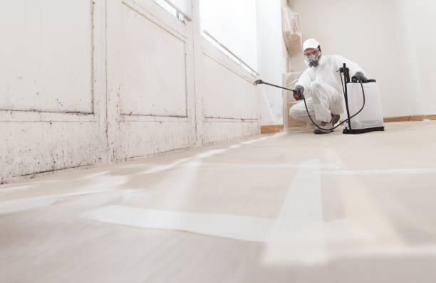Black mold remediation team in Boiling Springs
